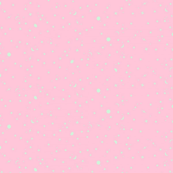Tula Pink Full Moon Forest II True Colors Space Sprinkles Piglet