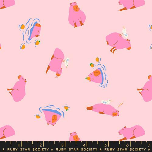 Ruby Star Society Collaborative Collection Animal Animal Capybara Cotton Candy