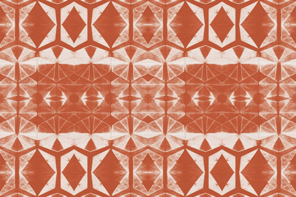 Shibori Dye coral by Kim Eichler-Messmer