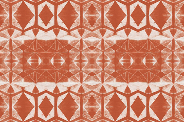 Shirbori Dye coral by Kim Eichler-Messmer