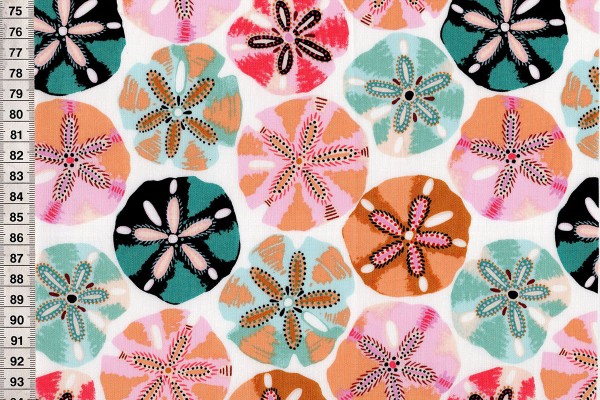 Sea Botanica by Sarah Gordon Sanddollar multi