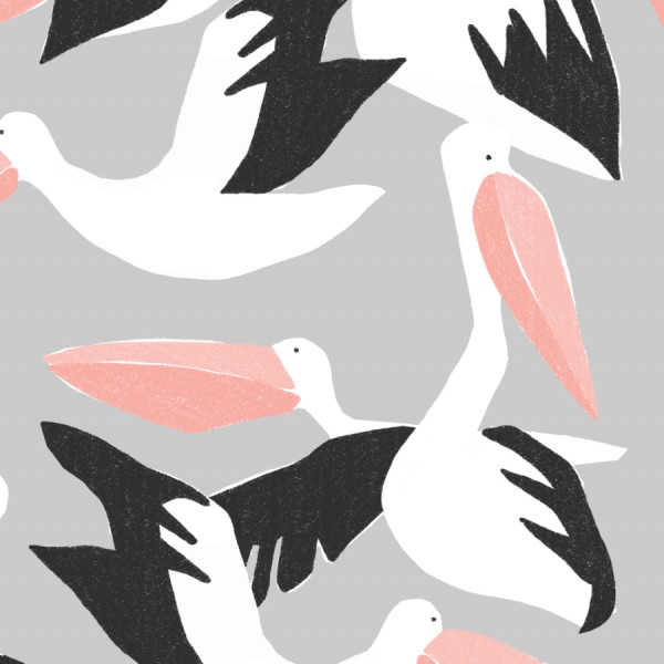 Cloud9 CANVAS Ophelia Pang Happy Pelicans