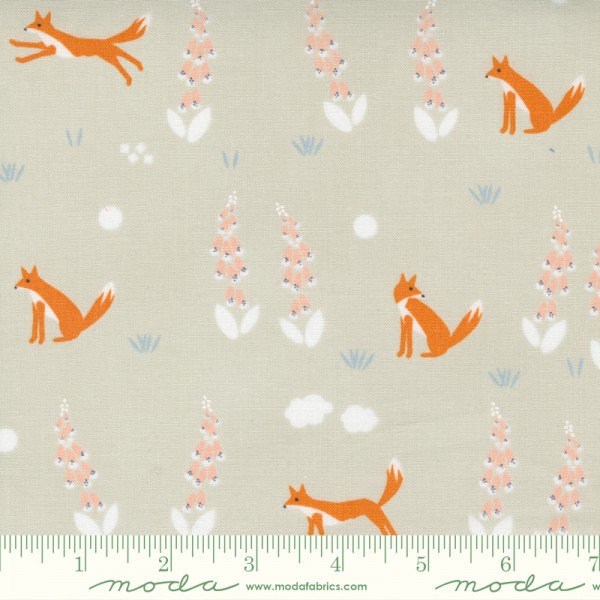 Aneely Hoey Meander Foxes cloud