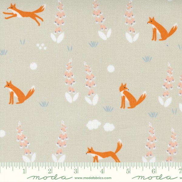 Aneely Hoey Meander Foxes cloud