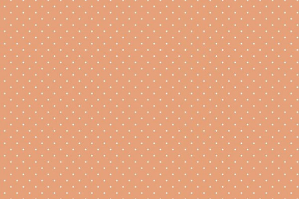 Tula Pink True Colors TIny Dots Peach