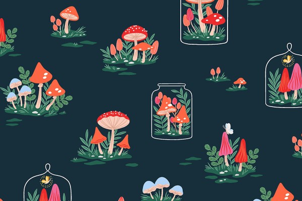 Garden & Globe Erin McMannes Mushroom Garden Midnight