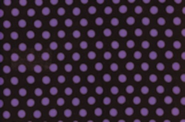 Kaffe Fassett Roman Spot black/violet