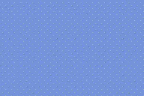 Tula Pink True Colors TIny Dots Bluebell