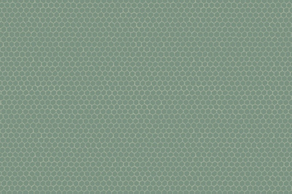 Windham Fabrics Nature Study Hexie Spinach