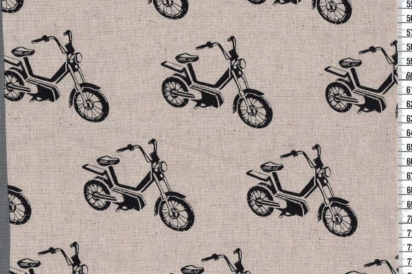 Echino motorbike