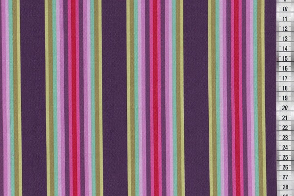 Tula Pink Chipper Tick Tock Stripe raspberry