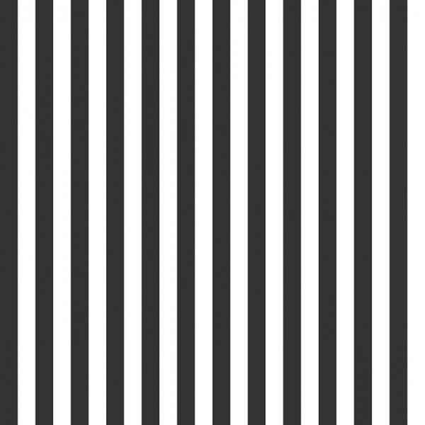 RIley Blake Design Basic Stripes 1/2 inch black