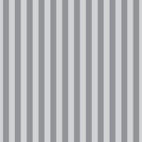 Pre-Order Tula Pink Graywork True Color Tent Stripe Fog