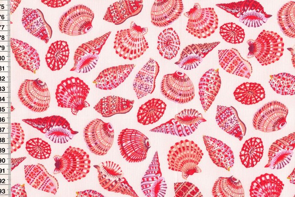 Sea Botanica by Sarah Gordon Shells in pale pink