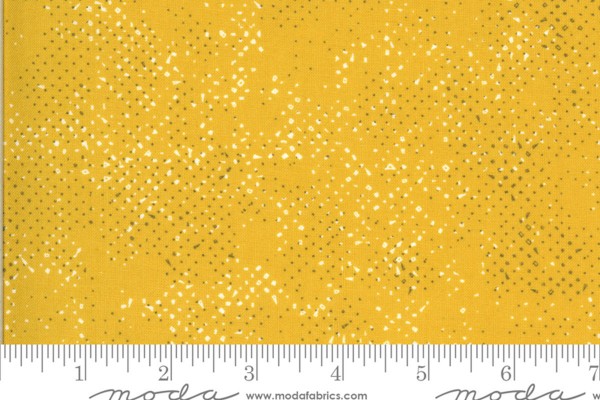 Spotted by Brigitte Heitland Mustard
