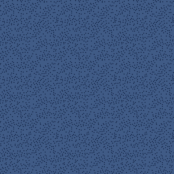 Alison Glass Sunprint Pebbles Uniform