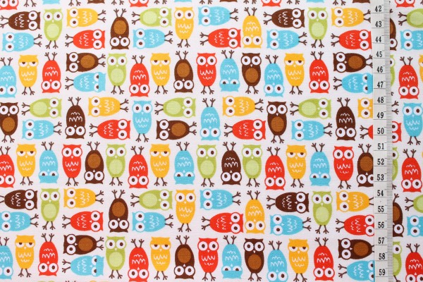 Robert Kaufman Ann Kelle URBAN ZOOLOGIE Minis Owls bermuda