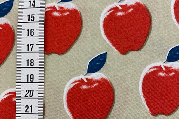 Reststück cotton + steel Melody Miller Picnic Apple red