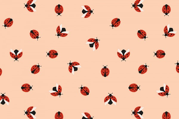 Wild & Free Loes van Oosten Lady Bug Lady Bug Red