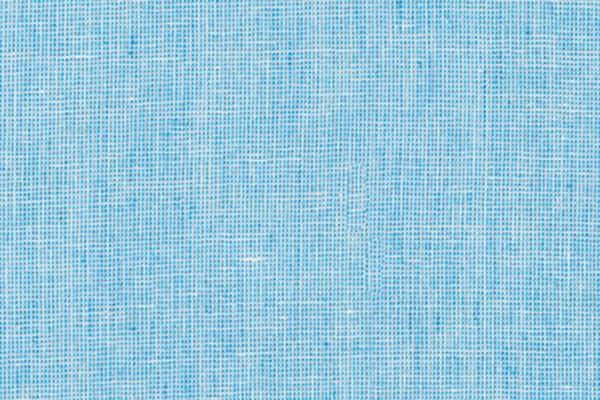 Yarn Dyed Essex Homespun Paris Blue