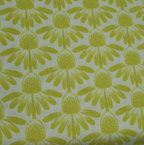 Anna Maria Parry Indelible Soft Coneflower sun