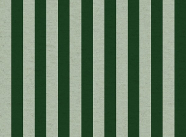 Primavera Rifle Paper Canvas Cabana Stripe mint/green