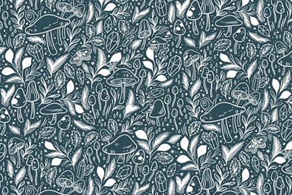 Earth Magic Erin Macmanness Mystical Mushroom Rainforest